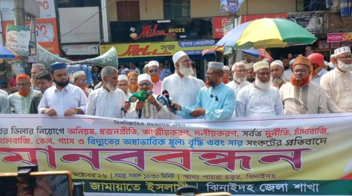 ঝিনাইদহ জেলা প্রশাসক জেলা বিএনপির উপদেষ্টা হিসাবে কাজ করছে-অধ্যক্ষ আব্দুল হাই