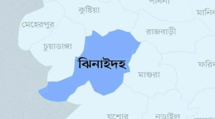 শৈলকুপায় ছোট ভাইয়ের লাঠির আঘাতে বড় ভাই নিহত
