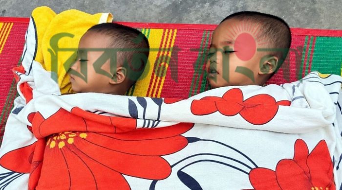 বল খেলতে গিয়ে পুকুরে ডুবে প্রাণ হারালো যমজ শিশু